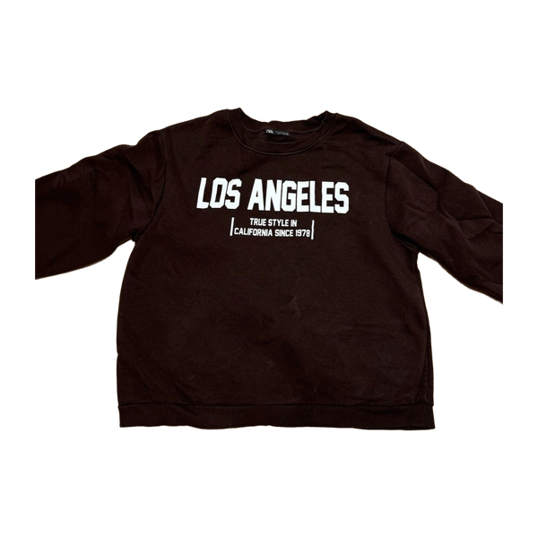 Zara hoodie