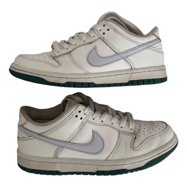 Nike dunks