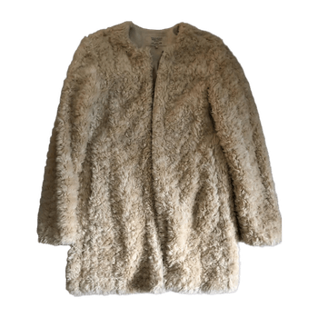 Zara coat