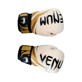 Venum boxing gloves