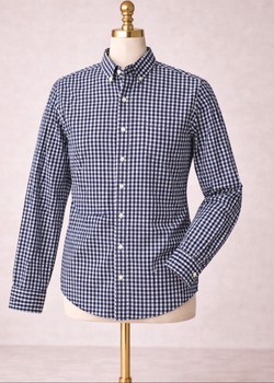 Blue checkered button-down shirt