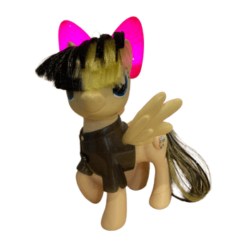 Poni