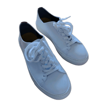 Sneaky steve sneakers