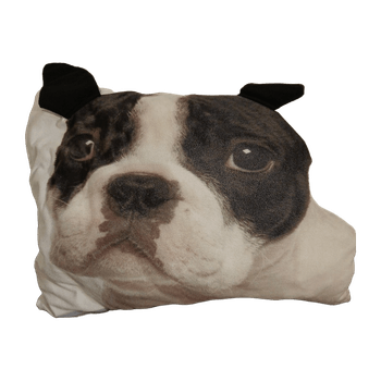 Dog Face Pillow