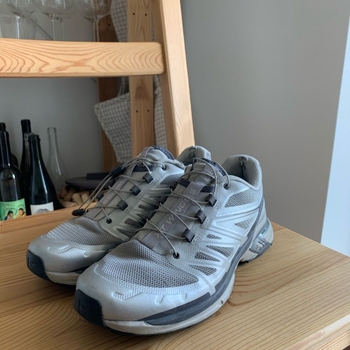 Salomon sneakers