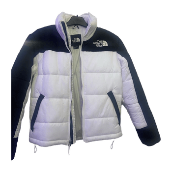 The north face coat