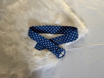 Blue polka dot belt