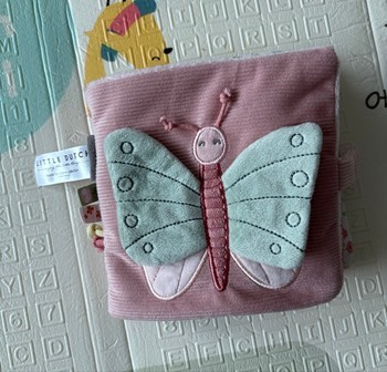 Little dutch lavinamoji knygelė