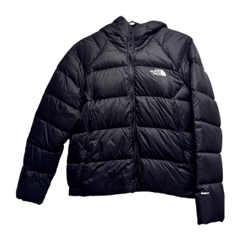 The north face coat