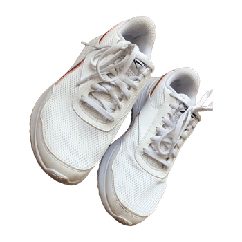 Reebok sports shoes
