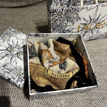 Dior scarf