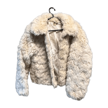 H&m coat