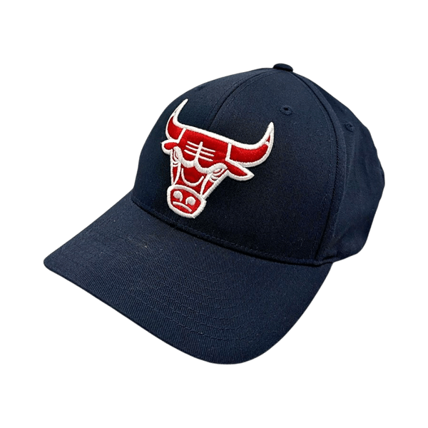 NBA snapback