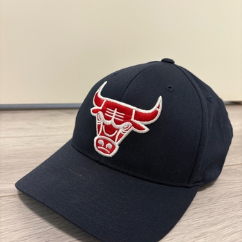 NBA snapback
