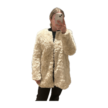 Zara coat