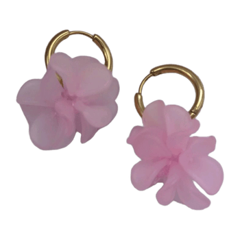 Ear rings jewelry