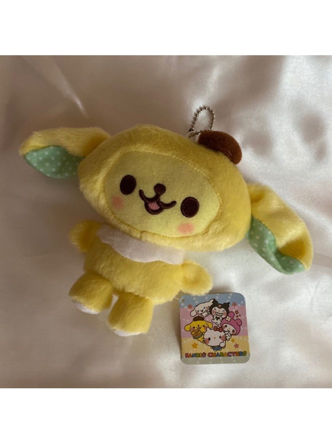 Sanrio accessory