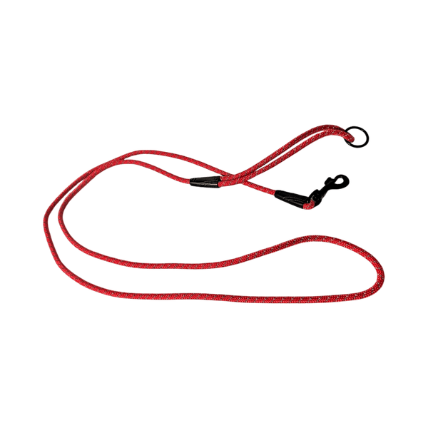 Dog Leash
