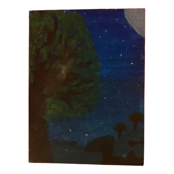 Night landscape painting
