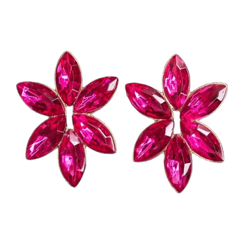 New earrings jewelry