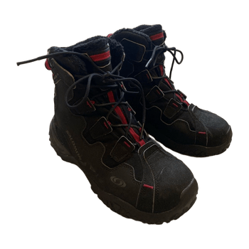Salomon shoes