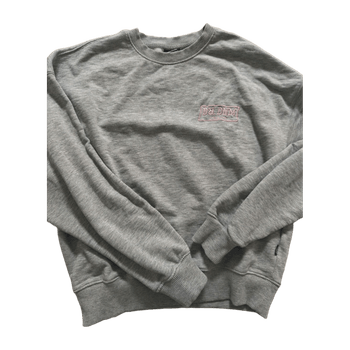 Dr. denim hoodie