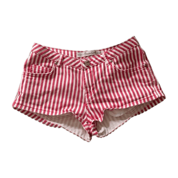 Zara shorts
