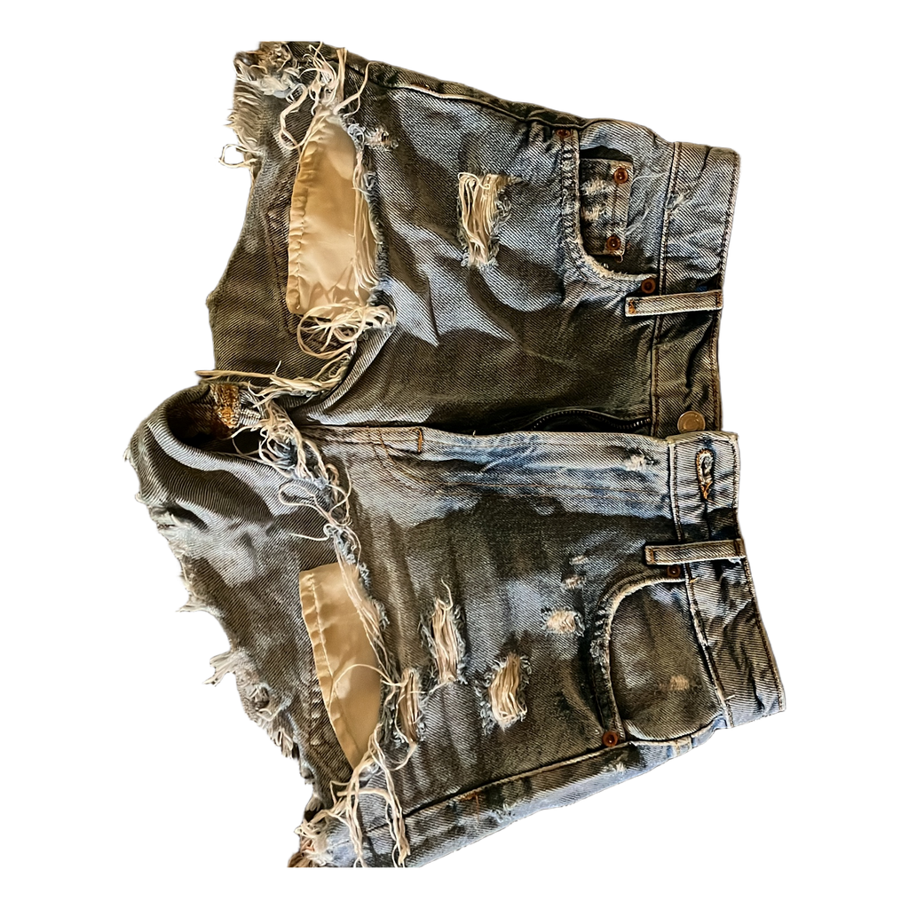 Zara high waisted shorts