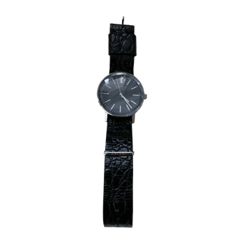 Axcent watch