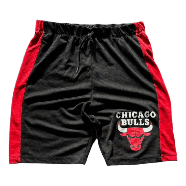 NBA Chicago bulls shorts