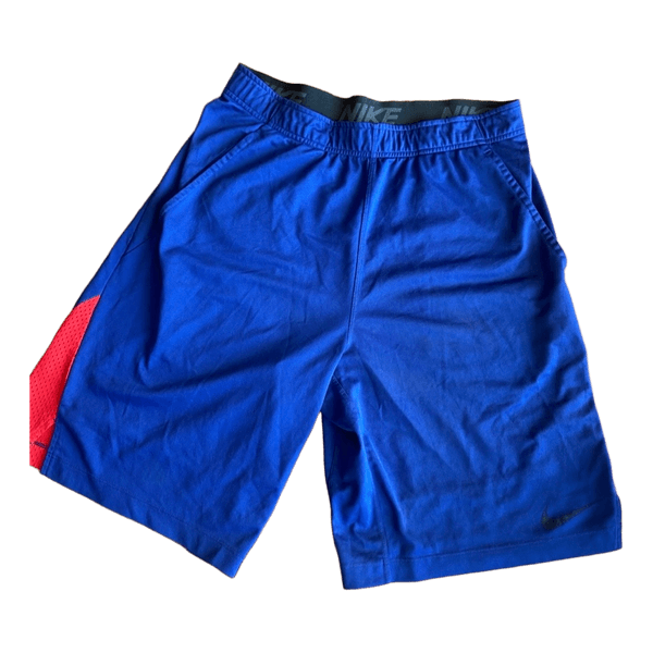 Blue red Nike shorts