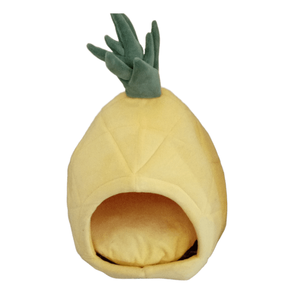 Kissan pesä