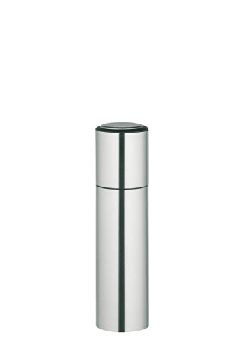 Salt grinder