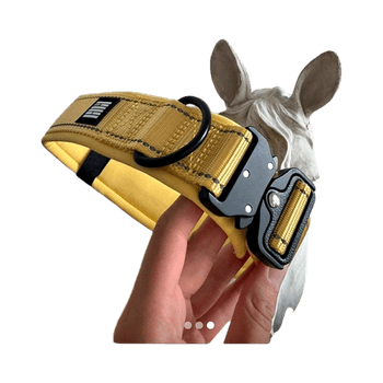 Yellow dog collar RUkka x Billebeino