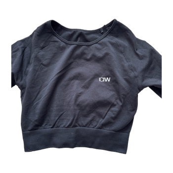 ICIW