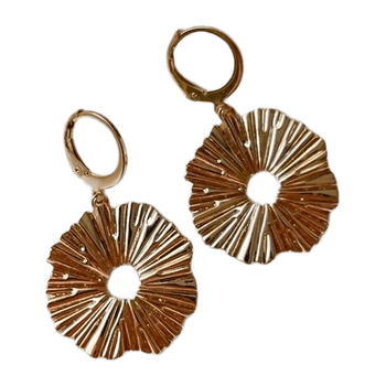 Earring jewelry