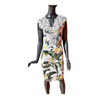 Floral print lace dress
