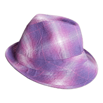 Purple plaid hat