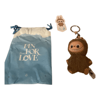 Pop Mart Labubu The Monsters – Pin for Love Series &