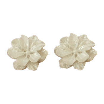 Earrigns jewelry