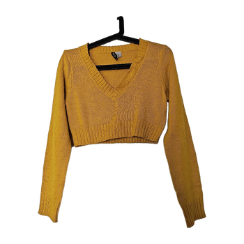 H&M V-necked cropped jumper