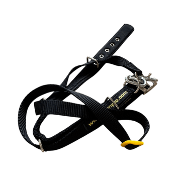 Canny Collar Vedonestopanta musta, koko 3
