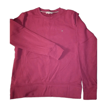 Tommy hilfiger hoodie