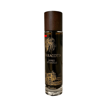 Guerlain Terracotta Bronzing Mist 100ml