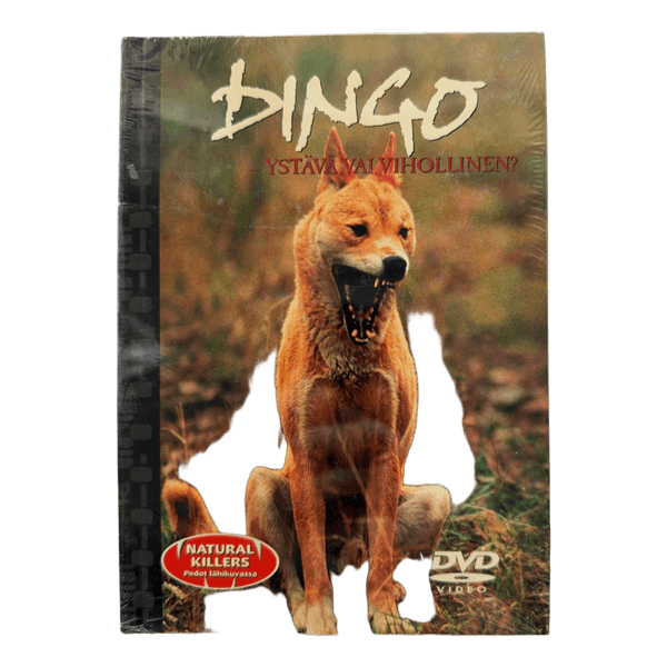 Dingo, ystävä vai vihollinen