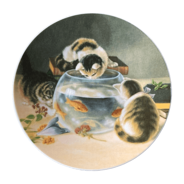 Seinälautanen accessory