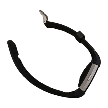 Fitbit accessory