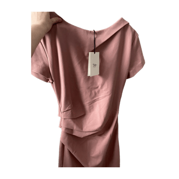 Tiger of sweden dress