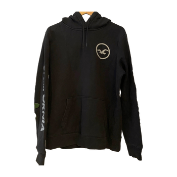 Hollister hoodie