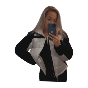The north face coat